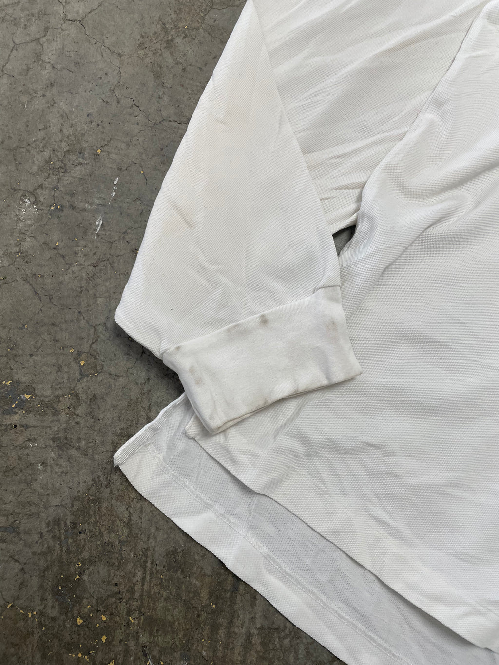 Ralph coloured pony rugby